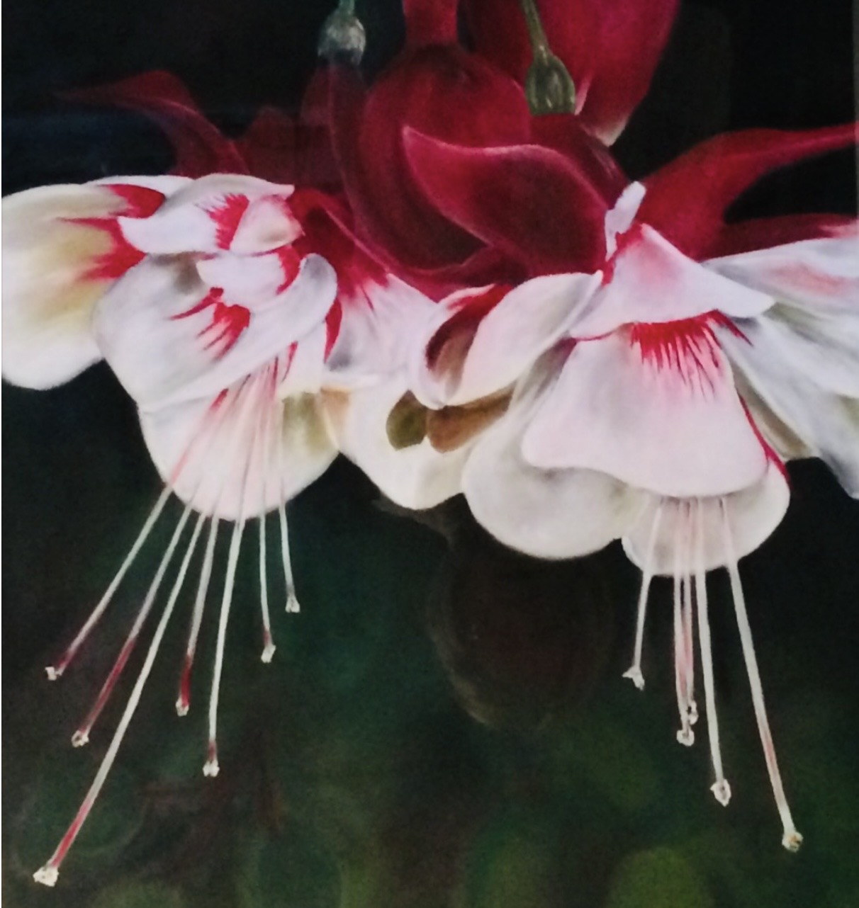 Rita Bracke